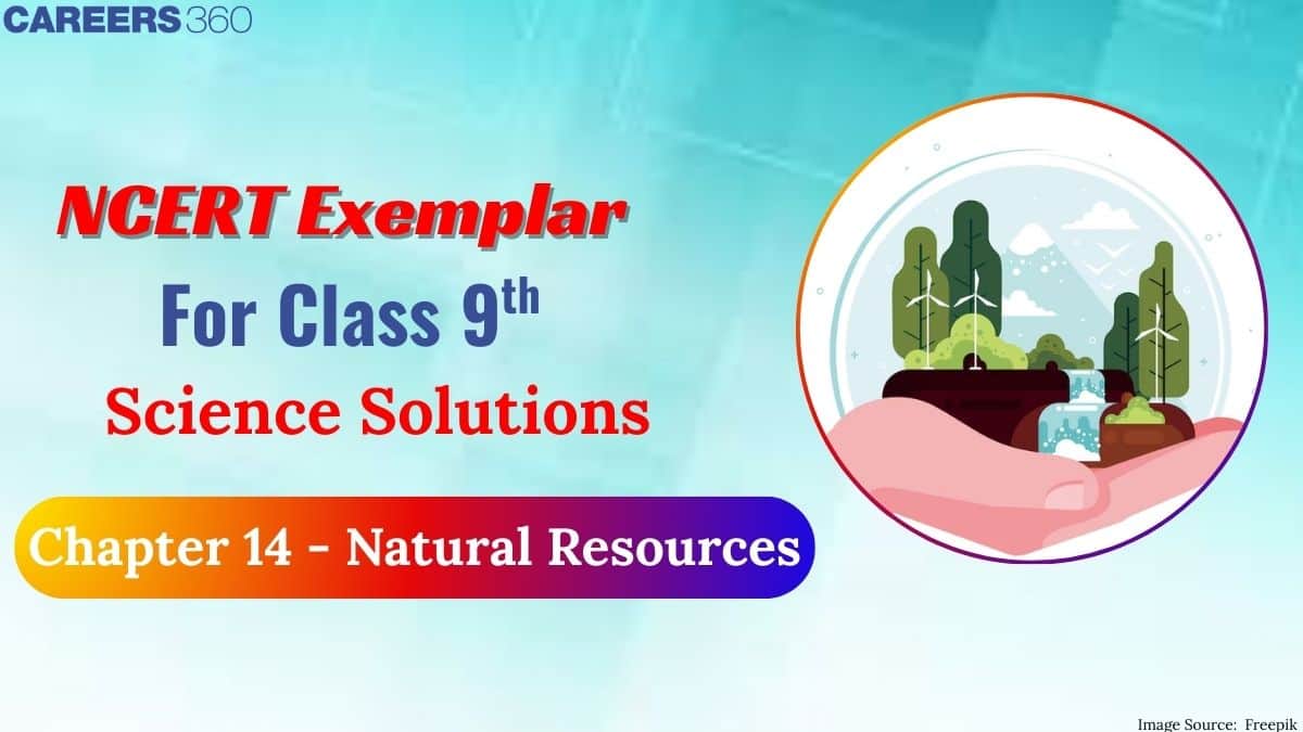 NCERT Exemplar Class 9 Science Solutions Chapter 14 Natural Resources